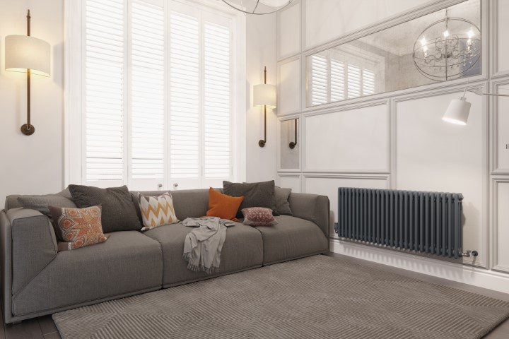 cosy looking sitting room with radiator and sofa