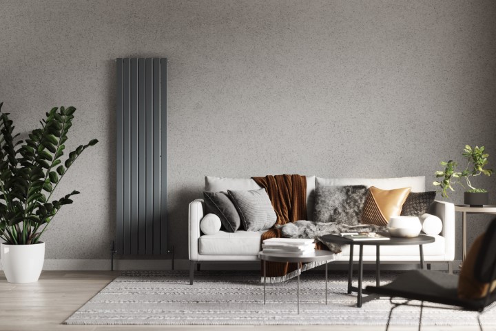 cosy looking sitting room with radiator and sofa