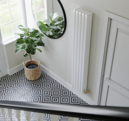A stylish, narrow, modern radiator on the wall. A potted fiddle-leaf fig plant sitting on a console table beneath a rectangular mirror in a brightly lit hallway.
