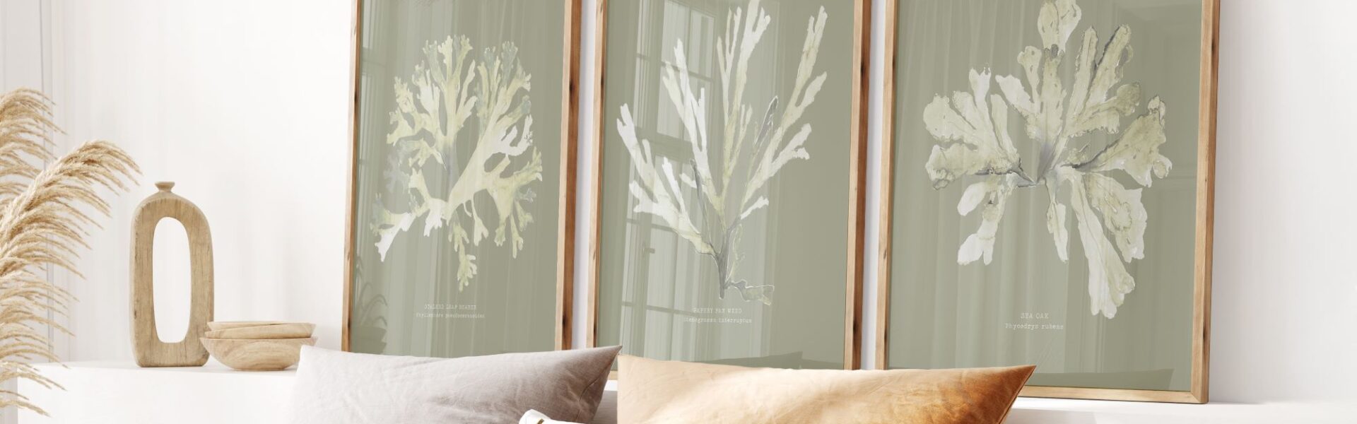 Three framed botanical illustrations of seaweed in muted greens and yellows, displayed above a bed with pillows and a lamp.