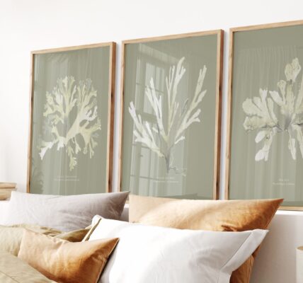 Three framed botanical illustrations of seaweed in muted greens and yellows, displayed above a bed with pillows and a lamp.