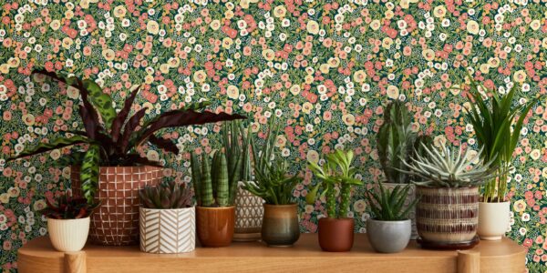 A variety of potted plants, including cacti, succulents, and leafy plants, are displayed on a wooden shelf. The plants are in various sizes and shapes, with different coloured pots. The background is a vibrant floral wallpaper with a dark green base and a pattern of pink, orange, and white flowers