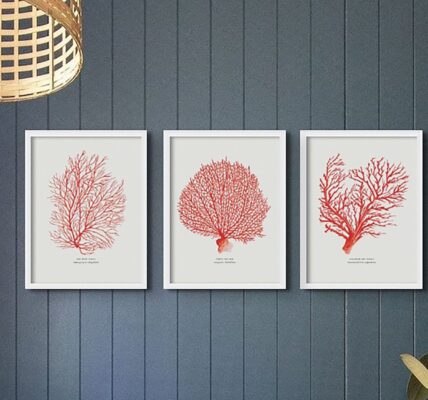 Three matching framed prints of red coral branches hang in a row on a dark blue textured wall. A woven basket light fixture is partially visible in the upper left corner.