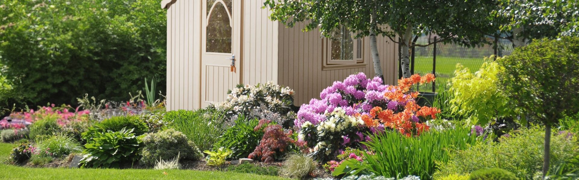 A small, light-coloured shed with a unique, arched door, nestled within a lush garden. The shed is the focal point, positioned slightly off-centre to the left, with the surrounding garden providing a vibrant and colourful frame.