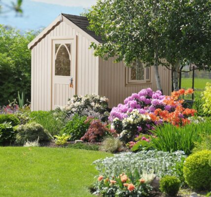 A small, light-coloured shed with a unique, arched door, nestled within a lush garden. The shed is the focal point, positioned slightly off-centre to the left, with the surrounding garden providing a vibrant and colourful frame.