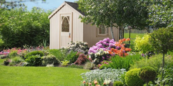 A small, light-coloured shed with a unique, arched door, nestled within a lush garden. The shed is the focal point, positioned slightly off-centre to the left, with the surrounding garden providing a vibrant and colourful frame.