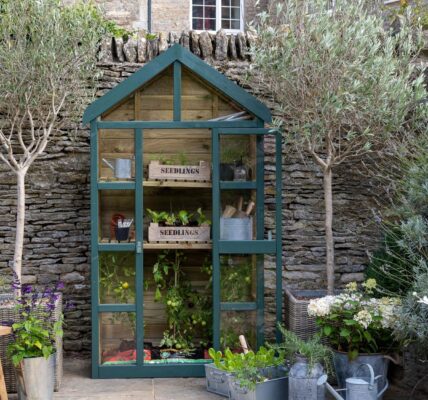 A dark green, A-frame greenhouse with wooden construction and glass panels sits in a garden setting.