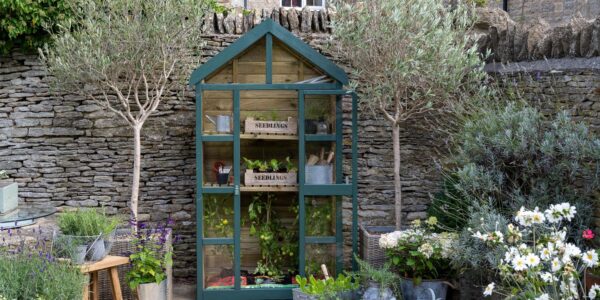A dark green, A-frame greenhouse with wooden construction and glass panels sits in a garden setting.