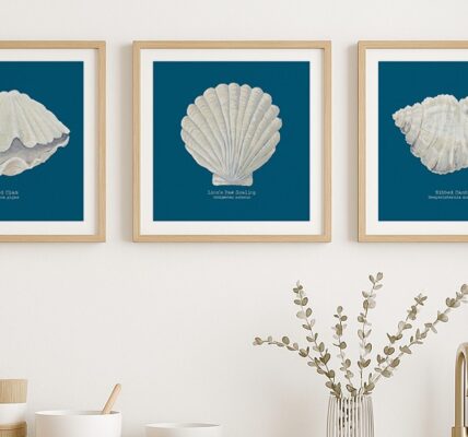 Three framed prints hanging on a wall. Each print features a different type of seashell against a deep blue background.
