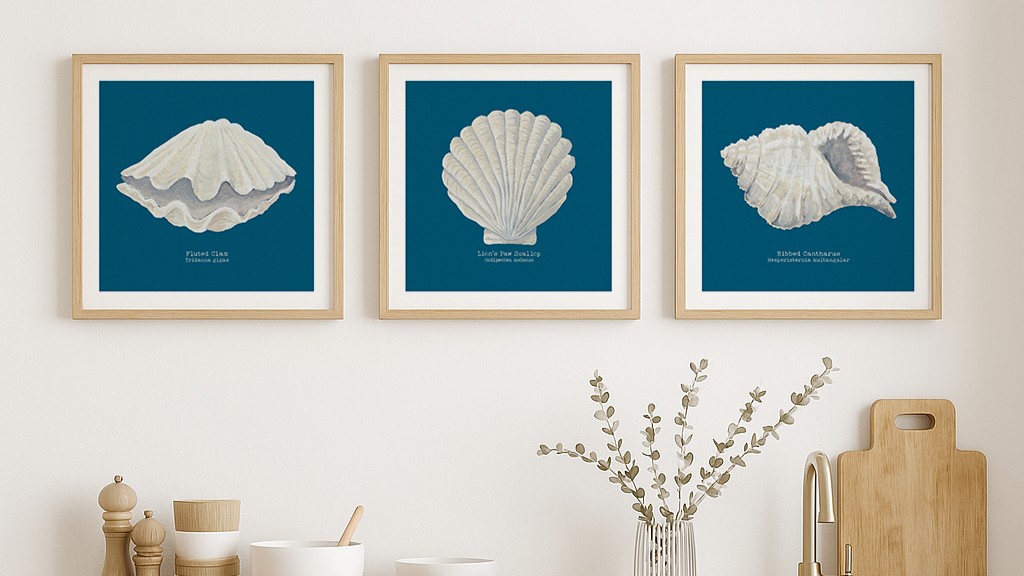 Three framed prints hanging on a wall. Each print features a different type of seashell against a deep blue background.