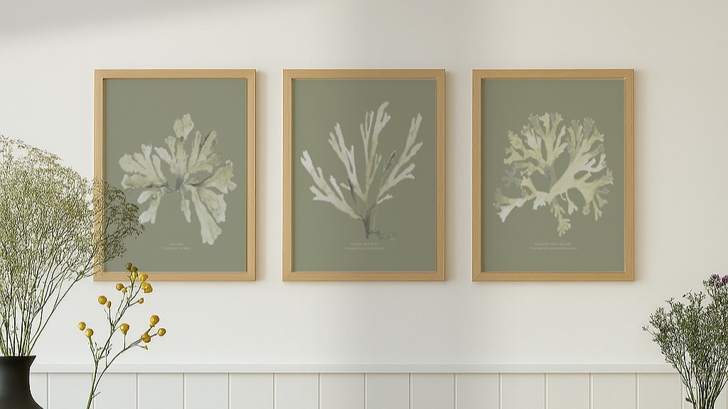 A trio of framed art prints depicting different types of seaweed. The prints are in a natural wood frame and have a muted green background. The seaweed illustrations are in a light, neutral colour palette.