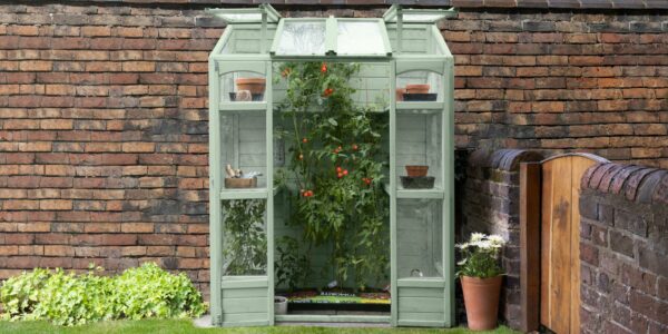 A sage green, wooden Victorian-style tall wall greenhouse standing against a rustic red brick wall in a garden.