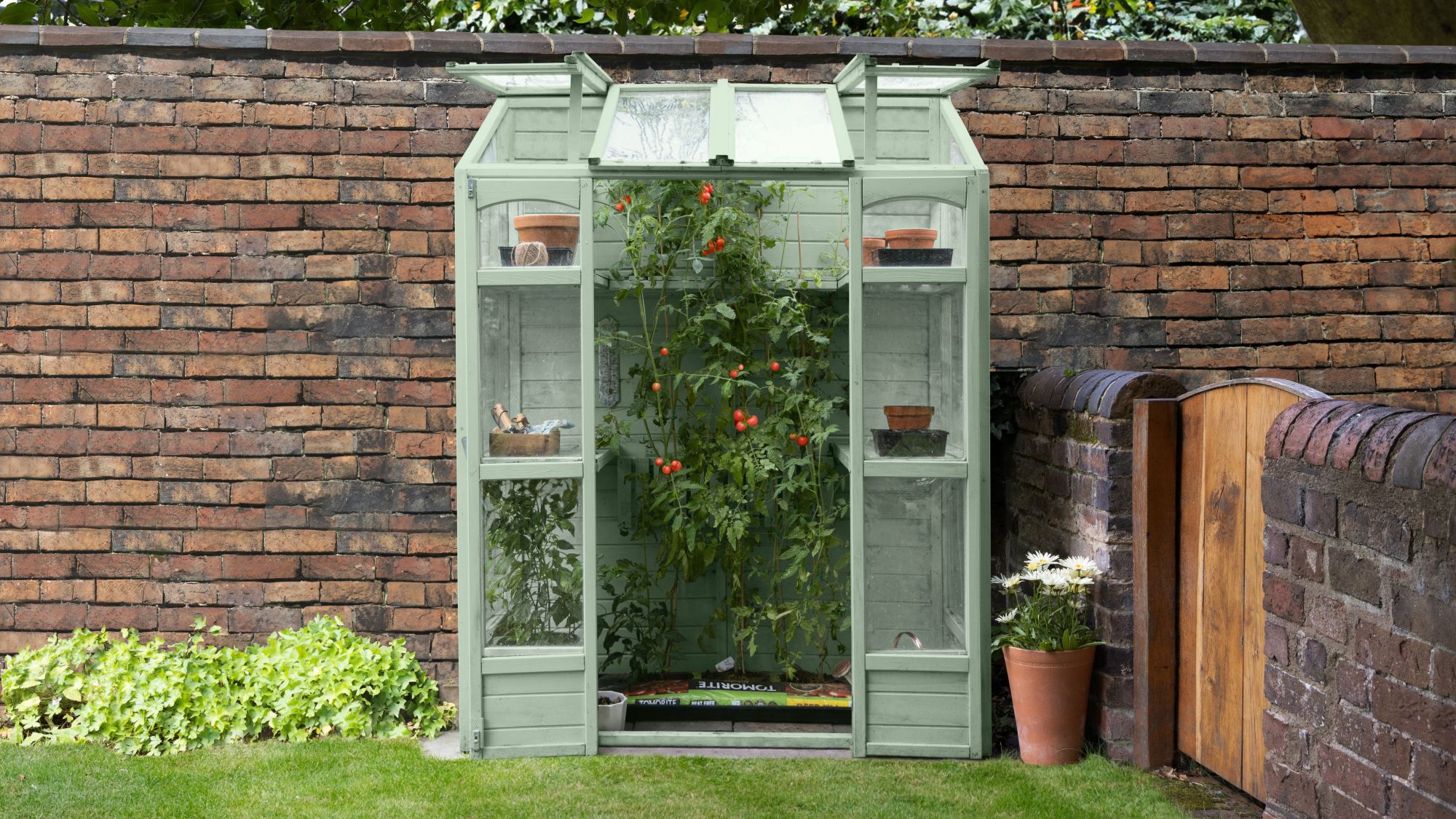 A sage green, wooden Victorian-style tall wall greenhouse standing against a rustic red brick wall in a garden.