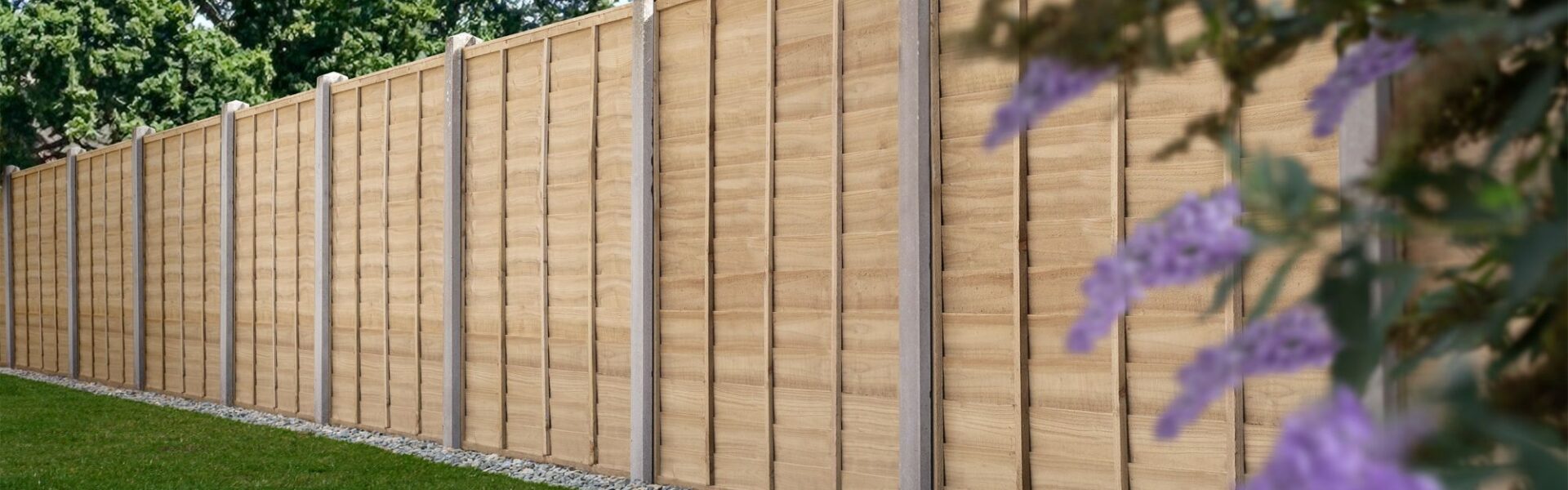 A line of light brown wooden privacy fencing panels is featured, accented by concrete posts that sit at intervals between each section.