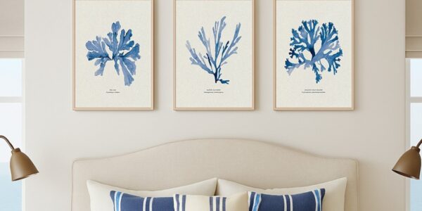 A wide landscape shot of a coastal-themed interior featuring a set of three botanical seaweed art prints hanging on an off-white wall. Below the artwork is a vibrant olive-green wainscoted wall, and in the foreground, a vintage-style brass bathtub faucet and shower head are partially visible, suggesting a sophisticated, spa-like bathroom setting. Soft, natural sunlight casts gentle shadows across the scene from the right.