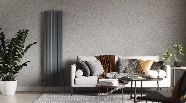 cosy looking sitting room with radiator and sofa