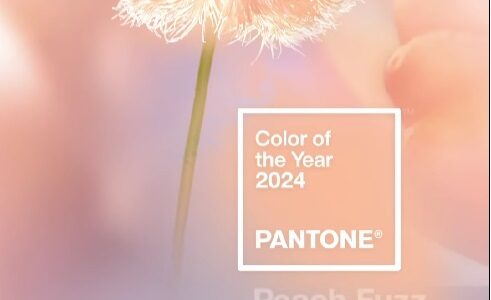 Pantone peach fuzz