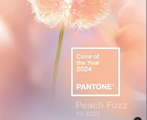 Pantone peach fuzz