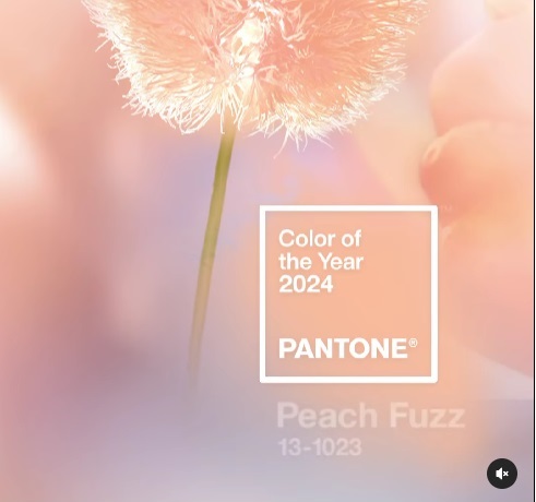 Pantone peach fuzz
