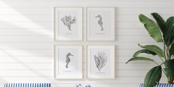 Living room with blue and white striped chairs and a coffee table in front of a wall with four paintings of seahorses and corals.