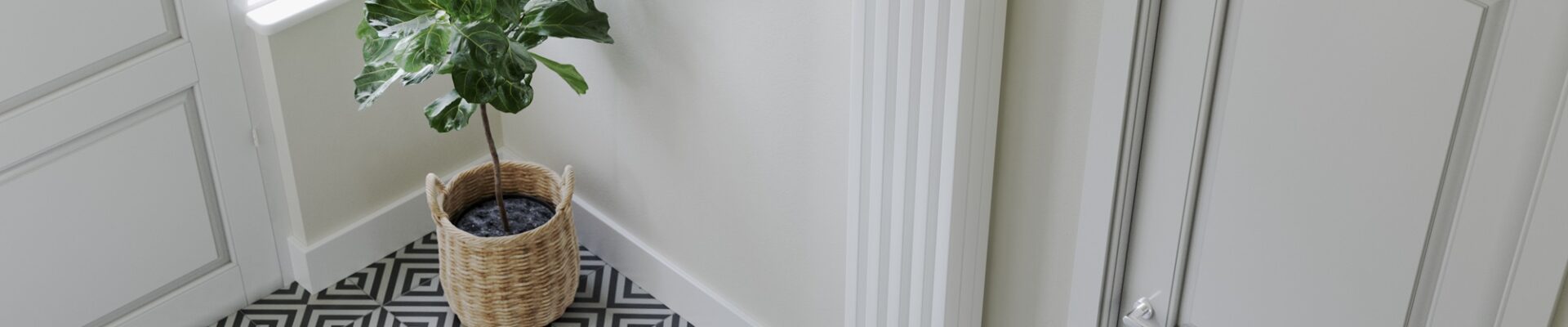 A stylish, narrow, modern radiator on the wall. A potted fiddle-leaf fig plant sitting on a console table beneath a rectangular mirror in a brightly lit hallway.