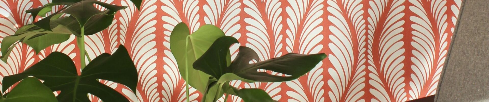 A cosy armchair sits in front of a wall covered in orange and white patterned wallpaper. A large houseplant with lush green leaves stands beside the chair.