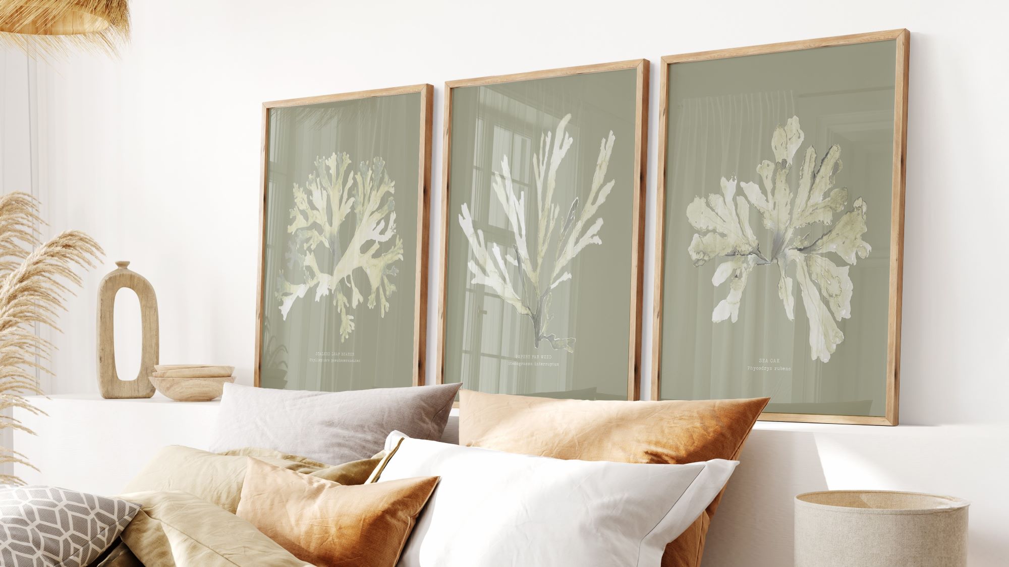 Three framed botanical illustrations of seaweed in muted greens and yellows, displayed above a bed with pillows and a lamp.