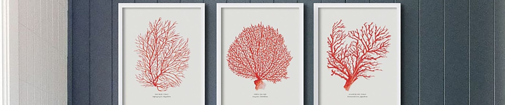 Three matching framed prints of red coral branches hang in a row on a dark blue textured wall. A woven basket light fixture is partially visible in the upper left corner.