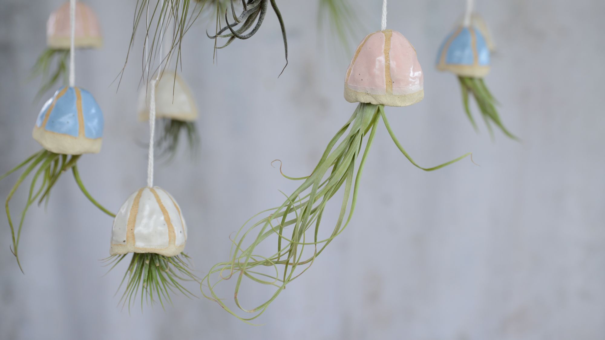 A close-up shot of several small, handmade ceramic jellyfish-shaped planters hanging by thin white strings. Each ceramic "jellyfish" has a rounded bell-shaped top, some with a pastel pink glaze and others with a light blue glaze, all featuring a rough, textured cream-coloured rim. Dangling from the bottom of each ceramic piece is a green air plant with long, thin, slightly curled leaves, resembling the tentacles of a jellyfish. The background is a soft, blurred light grey with a hint of texture, suggesting a wall.