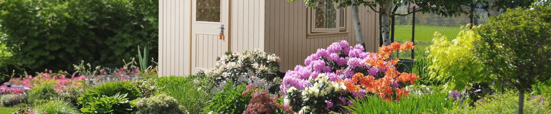 A small, light-coloured shed with a unique, arched door, nestled within a lush garden. The shed is the focal point, positioned slightly off-centre to the left, with the surrounding garden providing a vibrant and colourful frame.