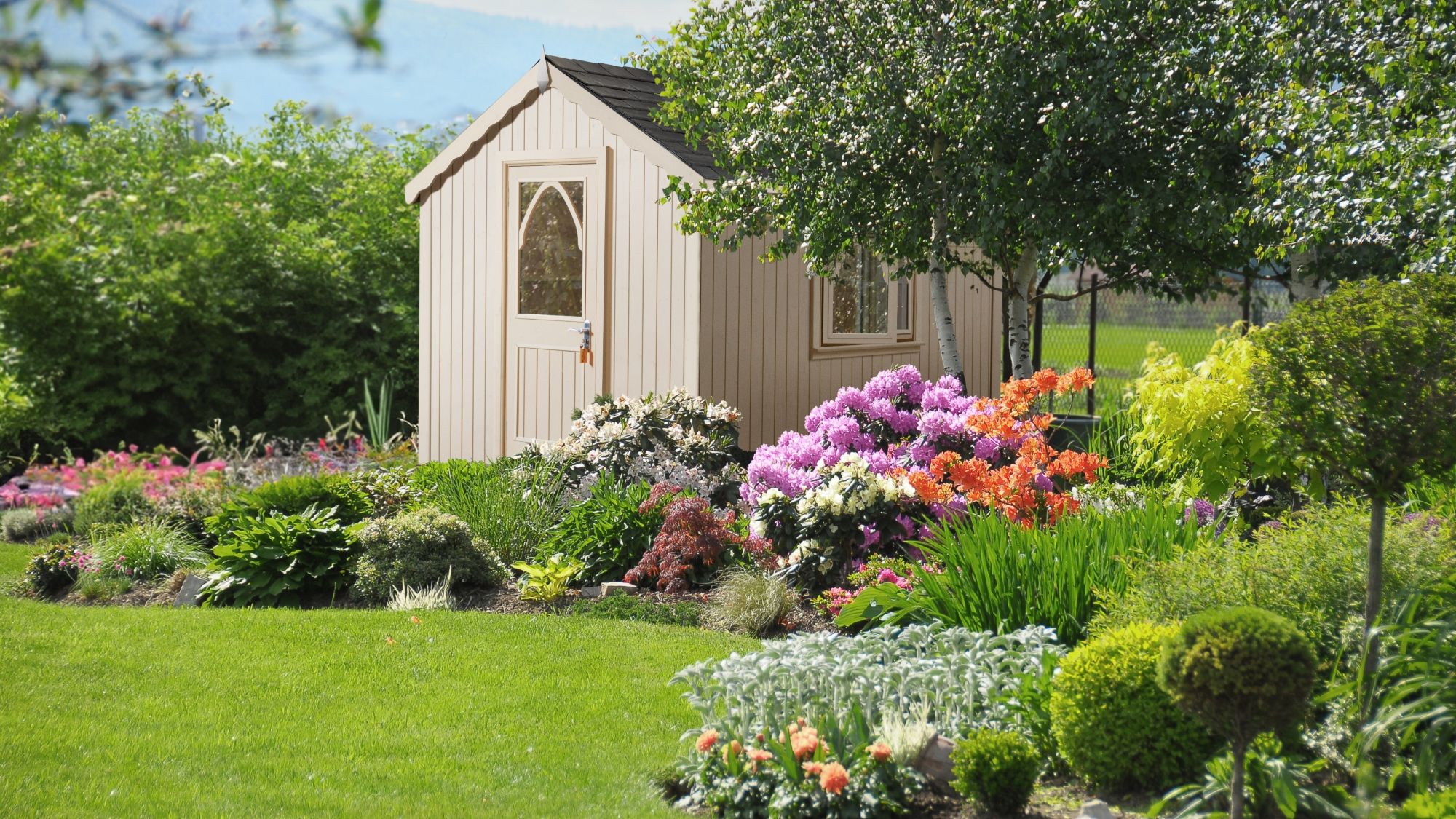A small, light-coloured shed with a unique, arched door, nestled within a lush garden. The shed is the focal point, positioned slightly off-centre to the left, with the surrounding garden providing a vibrant and colourful frame.