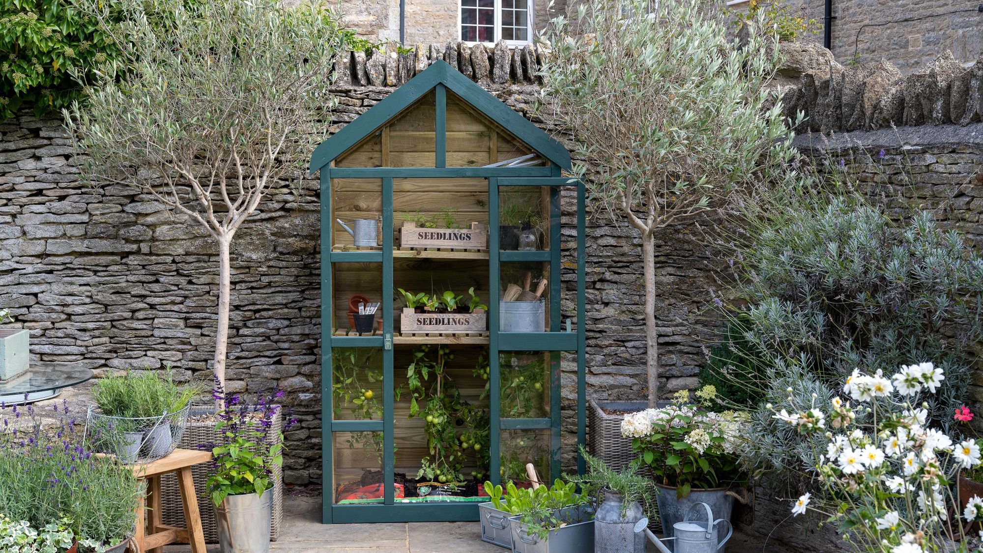 A dark green, A-frame greenhouse with wooden construction and glass panels sits in a garden setting.