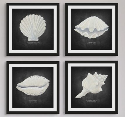 These are four framed art prints, each featuring a hand-painted shell illustration on a dark, chalkboard-like background. The art style has a scientific or natural history feel, reminiscent of old-world botanical or biological drawings. The frames are thin and black, and the prints are hung together in a two-by-two grid.