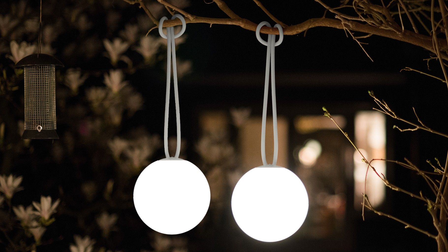 An illuminated spherical outdoor light hung from a tree branch