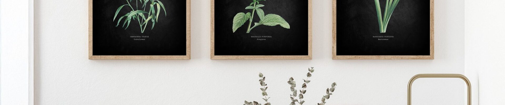 Three framed botanical prints hanging on a white wall above a wooden countertop. The setting appears to be a kitchen or utility area.