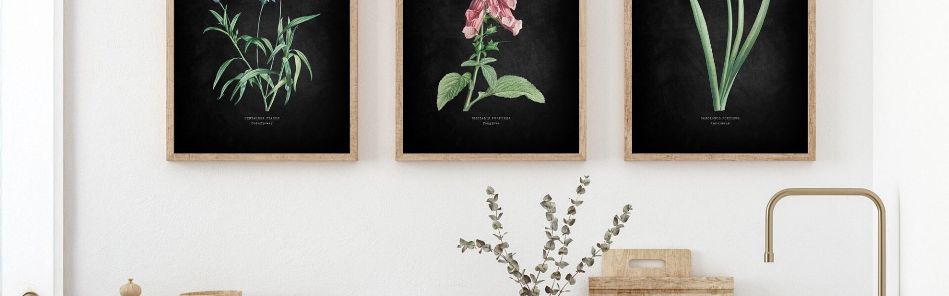 Three framed botanical prints hanging on a white wall above a wooden countertop. The setting appears to be a kitchen or utility area.