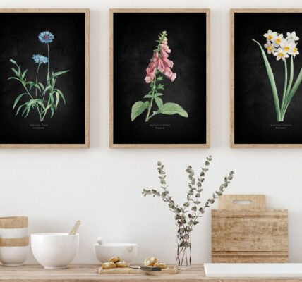 Three framed botanical prints hanging on a white wall above a wooden countertop. The setting appears to be a kitchen or utility area.