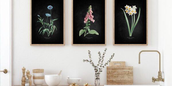 Three framed botanical prints hanging on a white wall above a wooden countertop. The setting appears to be a kitchen or utility area.