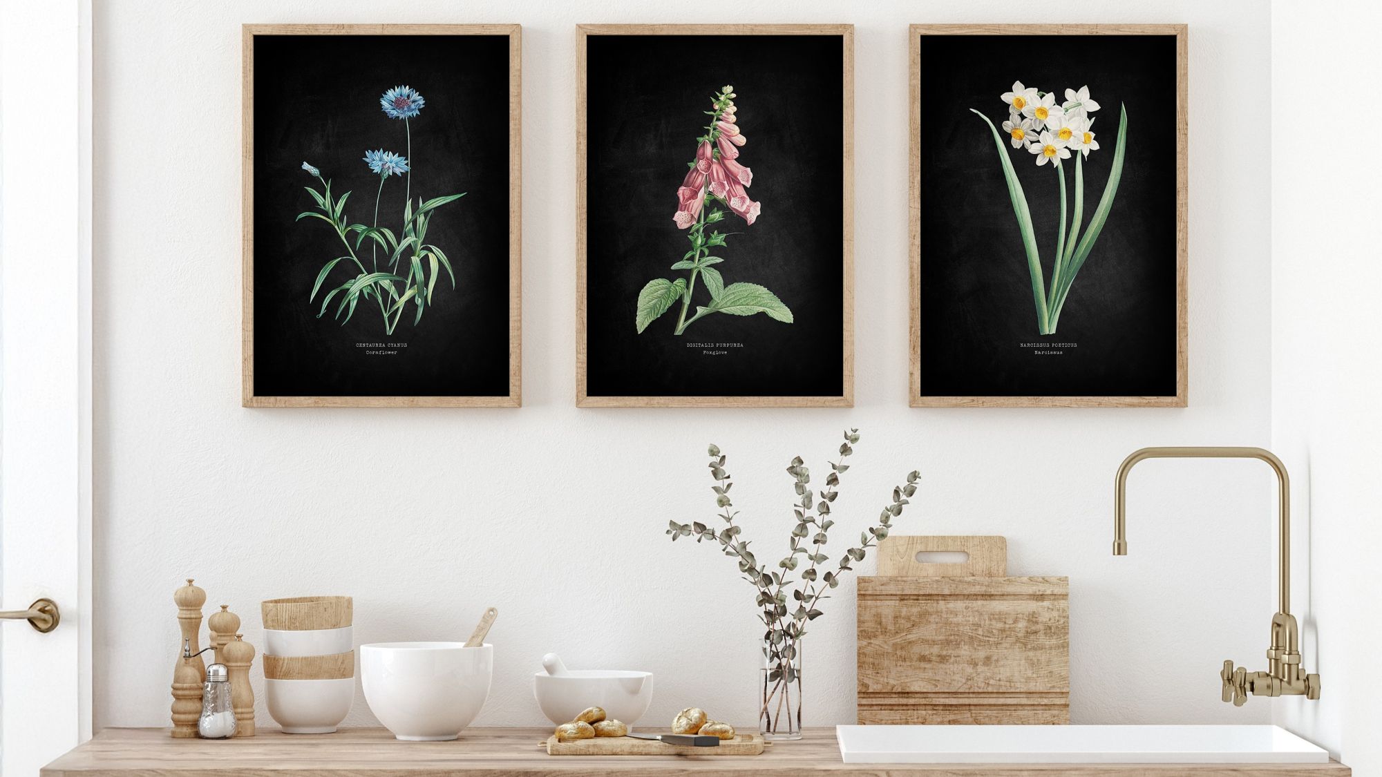 Three framed botanical prints hanging on a white wall above a wooden countertop. The setting appears to be a kitchen or utility area.