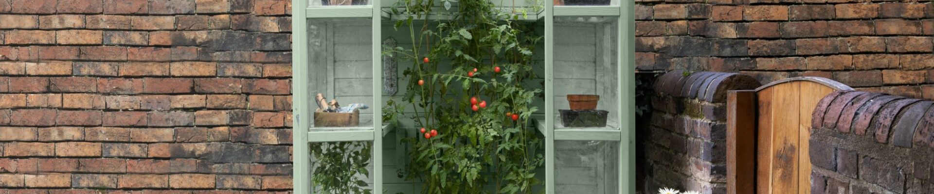 A sage green, wooden Victorian-style tall wall greenhouse standing against a rustic red brick wall in a garden.