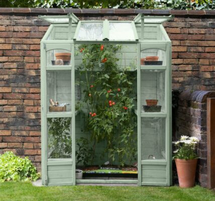 A sage green, wooden Victorian-style tall wall greenhouse standing against a rustic red brick wall in a garden.