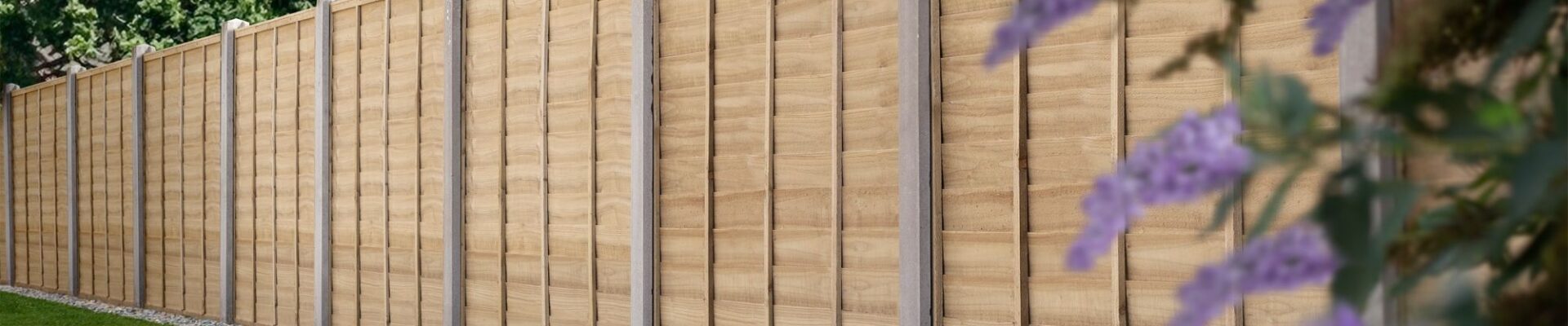 A line of light brown wooden privacy fencing panels is featured, accented by concrete posts that sit at intervals between each section.