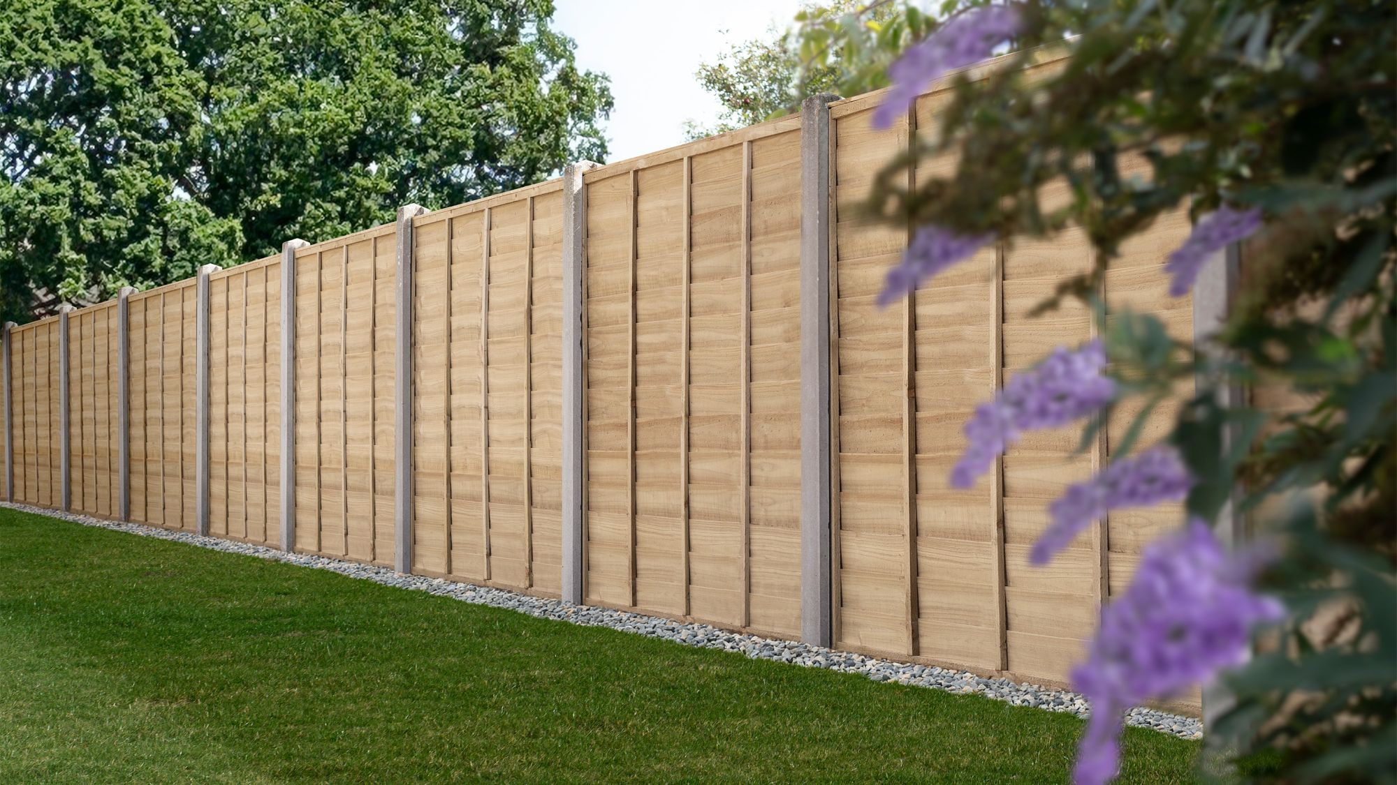A line of light brown wooden privacy fencing panels is featured, accented by concrete posts that sit at intervals between each section.