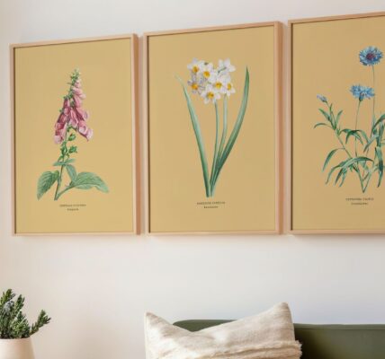 A wide shot shows three framed botanical prints hanging side by side on a light-coloured wall above a couch.