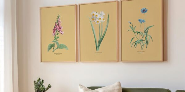 A wide shot shows three framed botanical prints hanging side by side on a light-coloured wall above a couch.