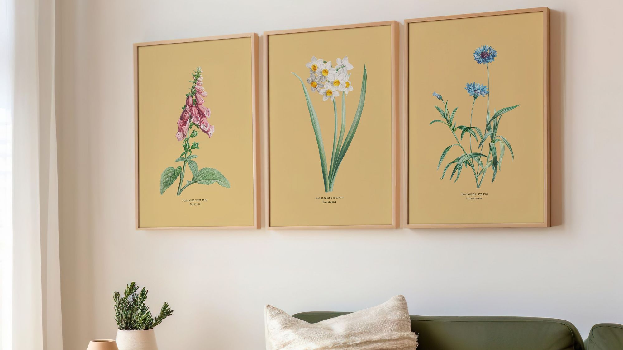 A wide shot shows three framed botanical prints hanging side by side on a light-coloured wall above a couch.